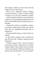 0067671933_a101f0f0000376_klub-tygru-fan