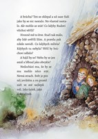 0070069924_a101c0n0000557_holka-listovan