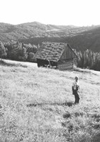 0077533952_9788090792227_telesna-vychova