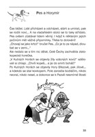 0046939099_A10110F17180-Ceske-dejiny-oci