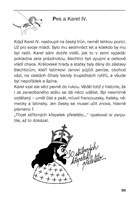 0046939099_A10110F17180-Ceske-dejiny-oci