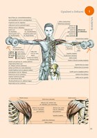 0077719458_a101c0n0001170_fitness-pro-ze