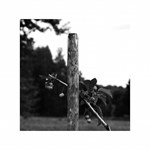 0070112601_ZBOK005973_obrazy-a-slova-lis