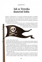 0073969956_ZBOK005997_kdo-krade-detem-ct