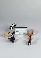 0070111864_ZBOK005971_utek-z-talire-list