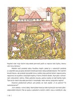 0067329299_a101c0n0000328_brnenske-pribe