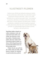 A101V0F22152_jak-porozumet-psi-reci-list