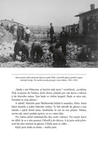 0066793447_a101c0n0000241_divky-ktere-pr