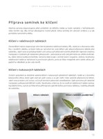 0066600969_a101c0n0000210_chilli-kuchark