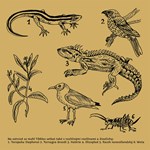 0080525210_9788075581655_tibbles-list3.j