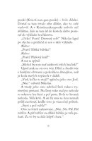 0024344944_B102L10000094_vianocny-chlape