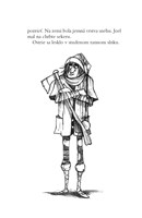 0024344944_B102L10000094_vianocny-chlape