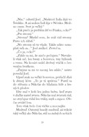 0024344944_B102L10000094_vianocny-chlape