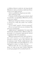 0024344944_B102L10000094_vianocny-chlape