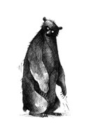 0024344944_B102L10000094_vianocny-chlape