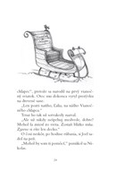 0024344944_B102L10000094_vianocny-chlape