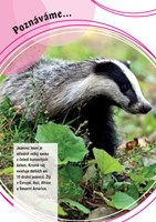 poznavame-zvirata-v-lese-a101f0f13906-li