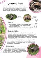 poznavame-zvirata-v-lese-a101f0f13906-li