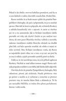 A101C0N0001104_zahada-kvilejici-list2.jp