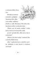 B102L10000219_moj-tajny-jednorozec-4-lis