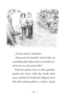 B102L10000219_moj-tajny-jednorozec-4-lis