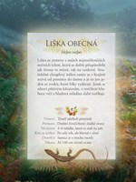 a101e0n0002644_zvirata-nasich-lesu-list1