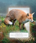 a101e0n0002644_zvirata-nasich-lesu-list2