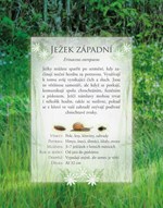 a101e0n0002644_zvirata-nasich-lesu-list3