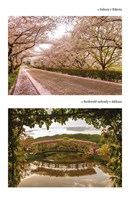 A101I0F0002050_japonsky-obcasnik-list3.j