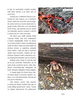 A101I0F0002002_s-radkou-na-cestach-list4