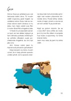 A101I0F0002002_s-radkou-na-cestach-list1