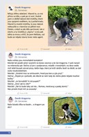 A101E0N0001317_Denik-psa-Aragorna-list4.