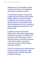 0083935987_9788088433101_namorni-slepota