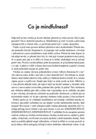 A101I0F0002600_mindfulness_co_vam_jeste_