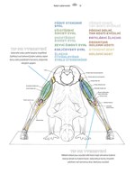 a101b0n0003706_joga-anatomicky-vybarvova