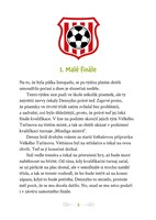a101c0n0003713_maly-fotbal-list1.jpg