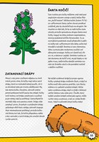 A101E0N0003646_Vedecke-kladivo-2-list3.j