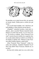 a101f0f0001411_narnie-lev-carodejnice-a 