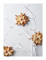 iveta_fabesova_kucharka_ukazky_jednotliv