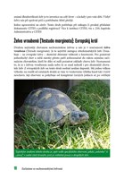 a101c0n0000732_zaciname-se-zelvami-list1