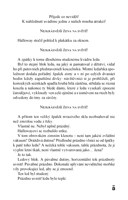 A101Z0F0003891_sem-prichazi-neco-zleho-l