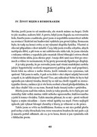 A101E0N0004485_Past-na-snatkoveho-list2.