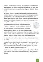 A101E0N0003519_Fotbal-to-je-hra_list3.jp