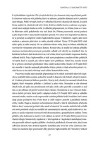 A101C0N0001217_zaklinac-vzestup-krale-vs