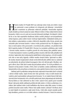 A101C0N0001217_zaklinac-vzestup-krale-vs