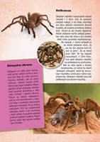 A101E0N0001566_predatori_list new3.jpg