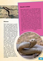 A101E0N0001566_predatori_list new4.jpg