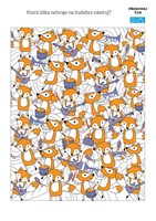 a101c0n0005013_mazane-schovavacky-list3.