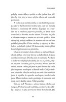 A101B0N0003014_Sundat-se-jak-fenix_list6