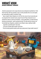 A101C0N0006173_LEGO_Ninjag_Nyiny_schopno